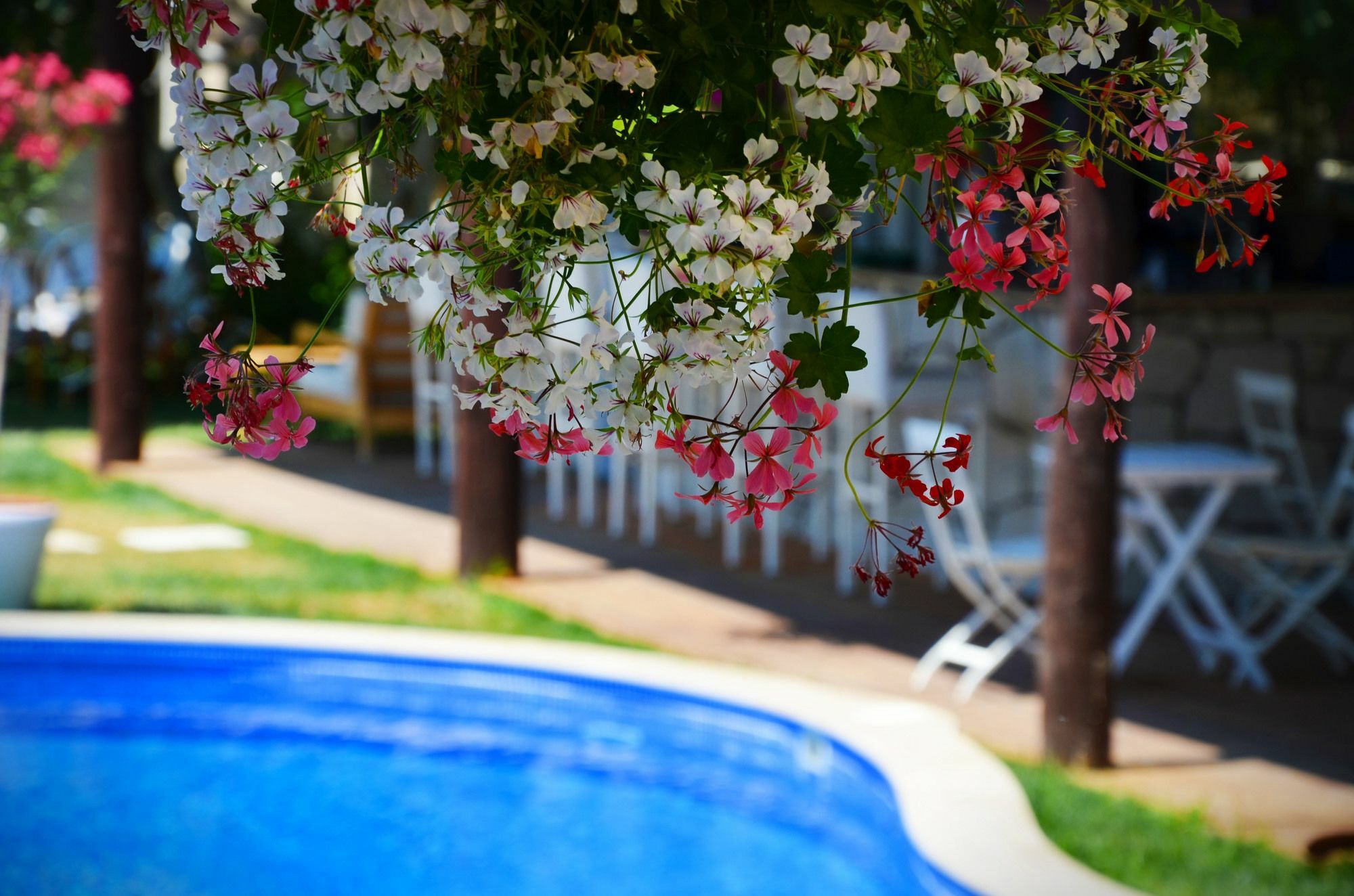 Tasquartas Hotel Alaçatı Exteriör bild