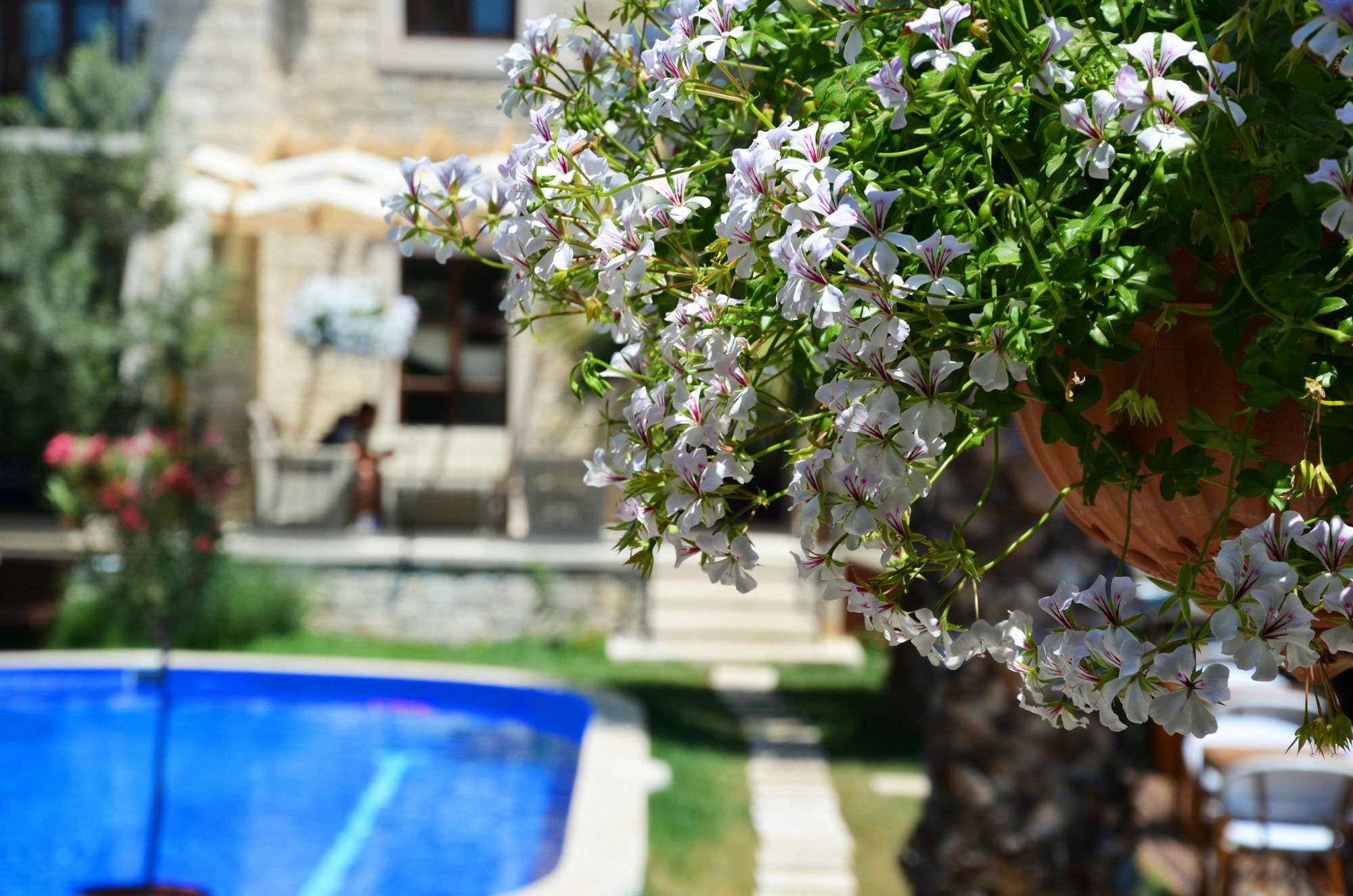 Tasquartas Hotel Alaçatı Exteriör bild